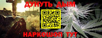 гидра Малоярославец