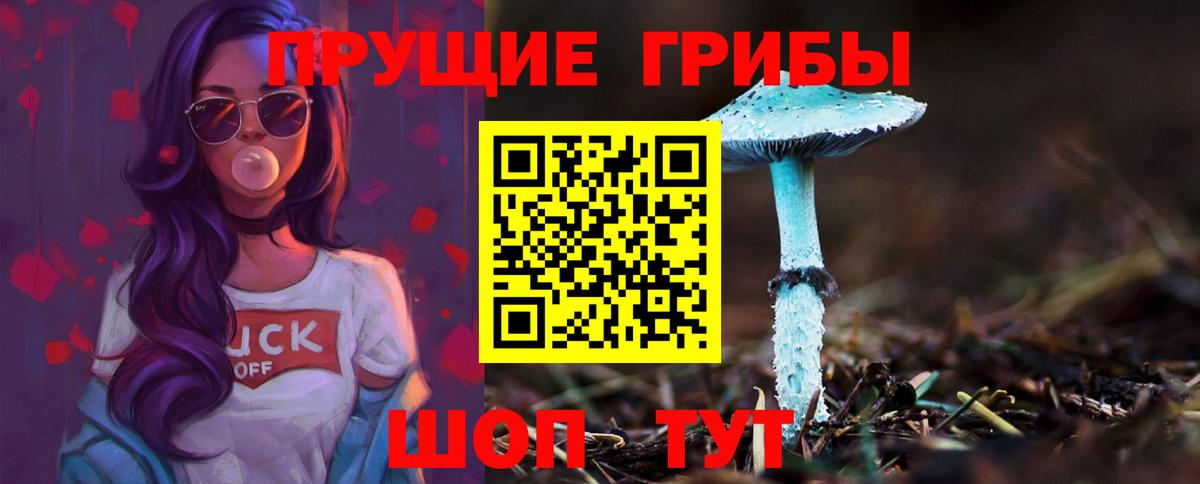 Псилоцибиновые грибы прущие грибы  наркошоп  Заволжье  Вход с VPN 